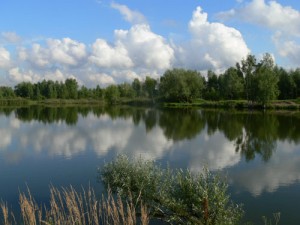 Парк «Лосиный остров»